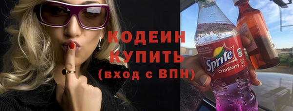 крисы Сатка