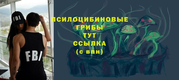 крисы Сатка