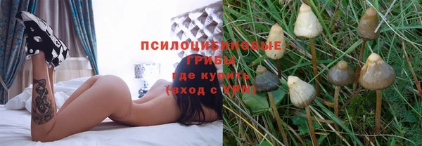 дурь Балахна