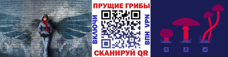 Псилоцибиновые грибы прущие грибы  хочу наркоту  Верхняя Салда 